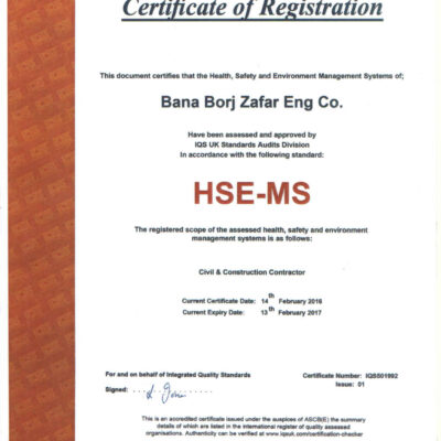 HSE-MS
